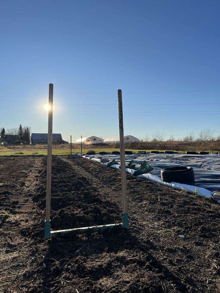 c63e0550-41a8-4711-a1fb-ab00785c9056.jfif